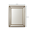 Load image into Gallery viewer, Aldo Clear Mirror Champagne Finish 17Rg050