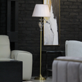 Load image into Gallery viewer, Floor Lamp DC2342 450*450*1480