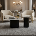 Load image into Gallery viewer, Gayle Set of 2 Coffee Table Marble JS1104