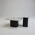 Load image into Gallery viewer, Gayle Set of 2 Coffee Table Marble JS1104