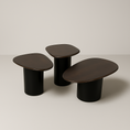 Load image into Gallery viewer, Clark Set of 3 Coffee Table JS1132