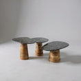 Load image into Gallery viewer, Thompson Set of 3 Coffee Table Ceramic/Wood 231556