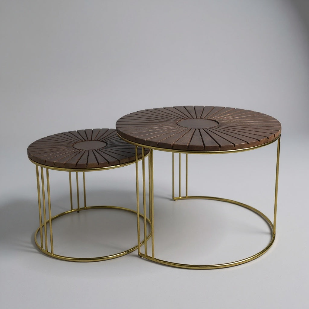 Harris Set of 2 Coffee Table 30017