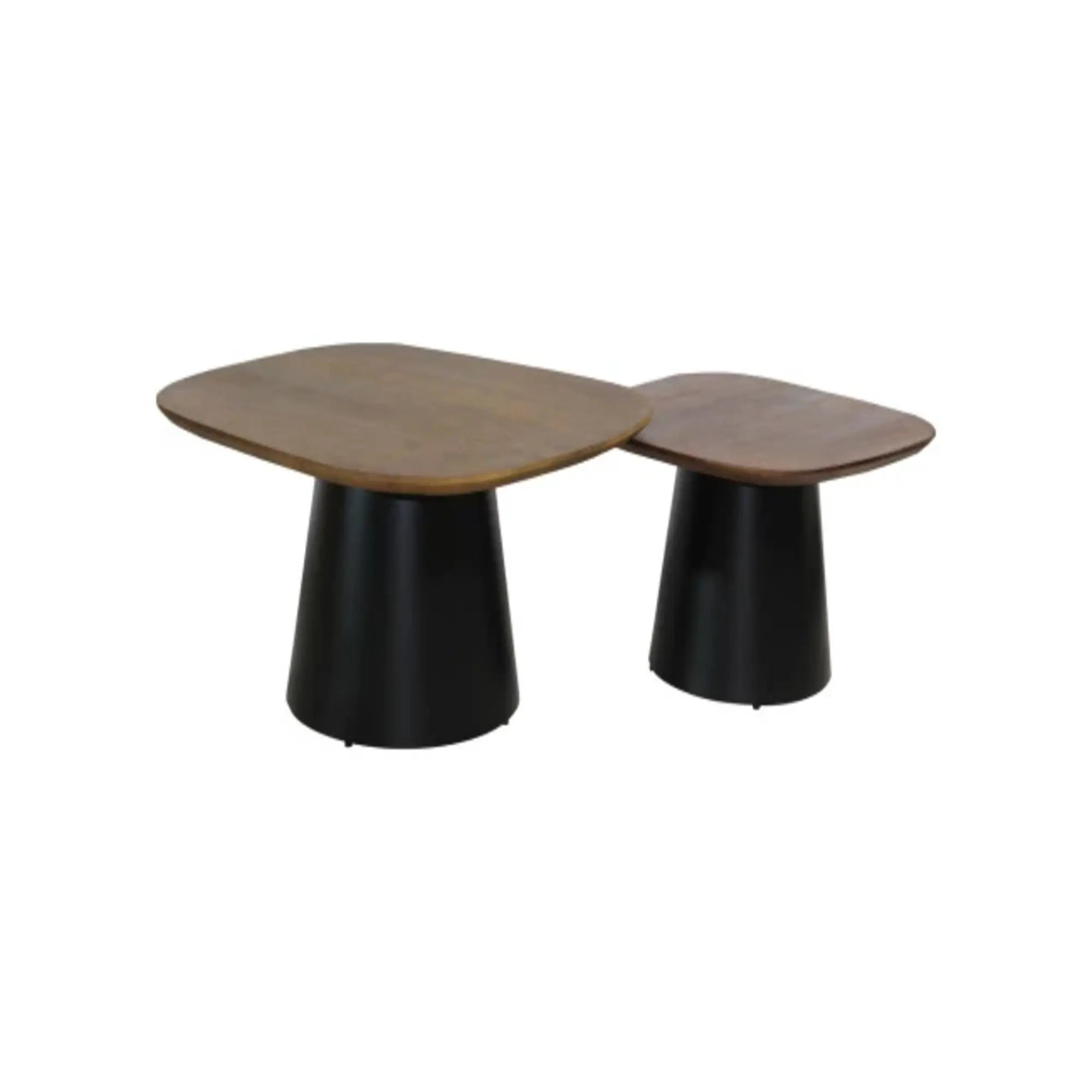 Ella Set of 2 Coffee Table Mango Wood 30045