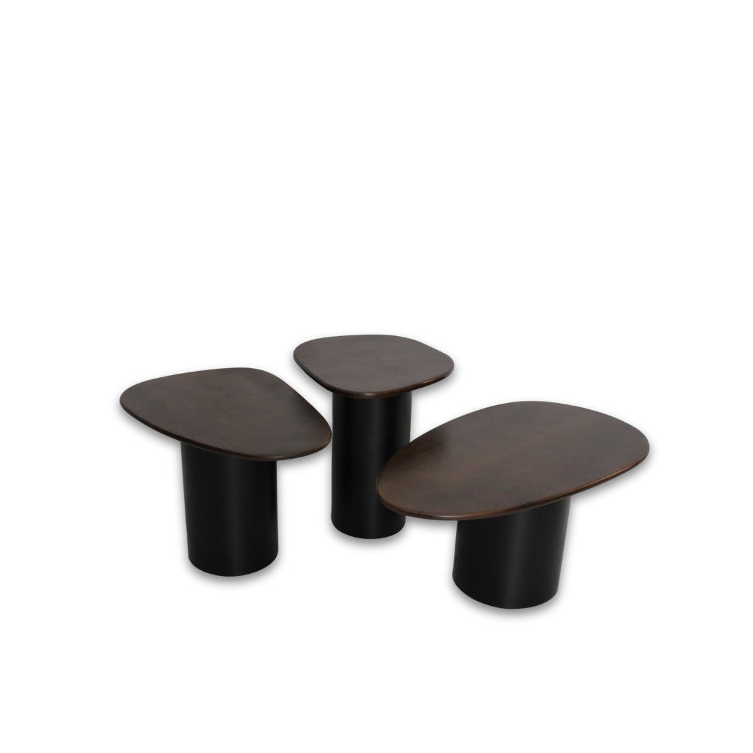 Clark Set of 3 Coffee Table JS1132