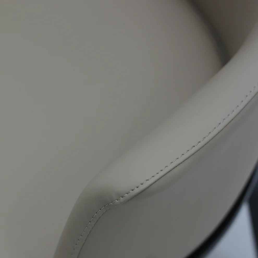 Robyn Dining Chair