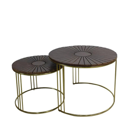 Harris Set of 2 Coffee Table 30017