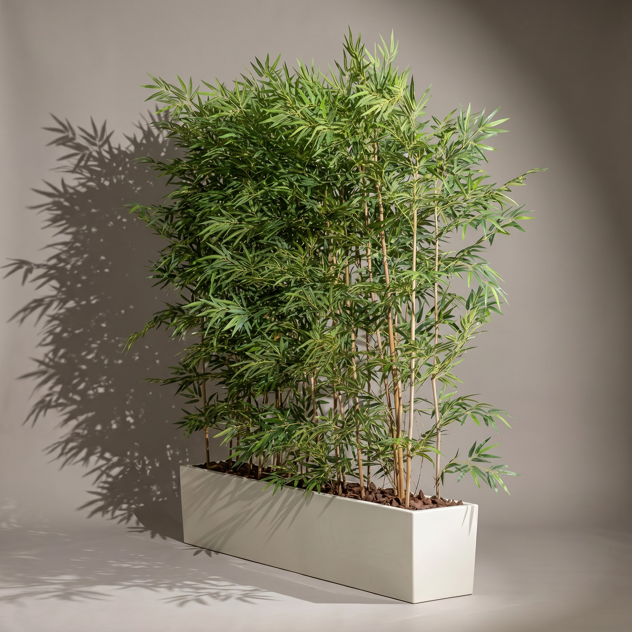 Bamboo Palm 1.8 In Stems Palmbam 018 in Robie pot