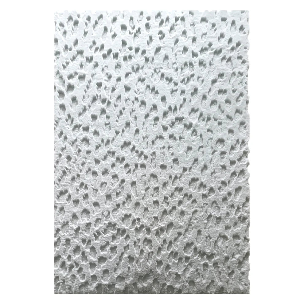 Wadi Rug Mist