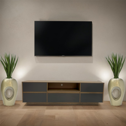 Parker Tv Unit