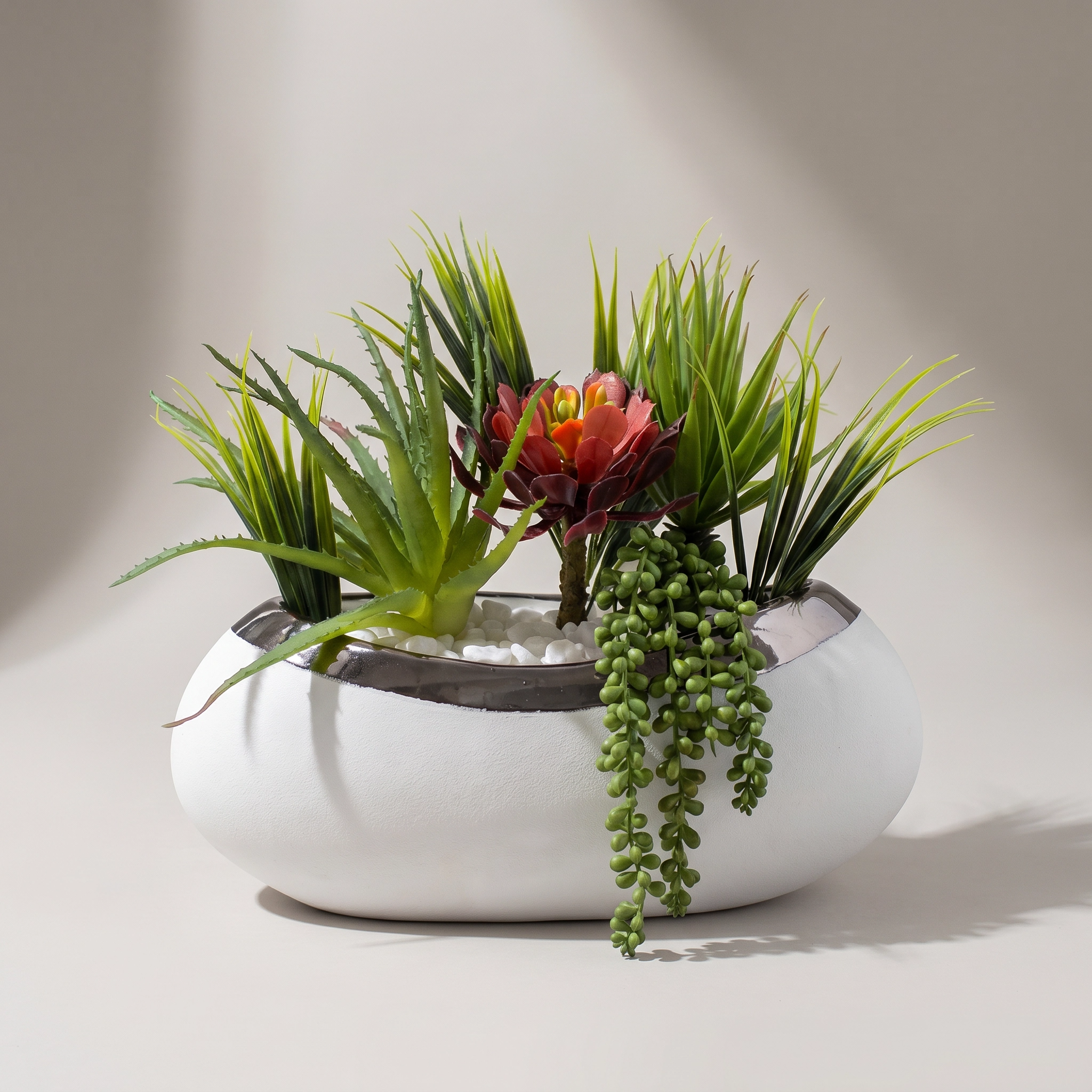 Succulents in Metallic Rimmed Vase Sundry-52F