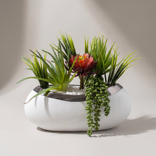 Succulents in Metallic Rimmed Vase Sundry-52F