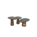 Load image into Gallery viewer, Thompson Set of 3 Coffee Table Ceramic/Wood 231556
