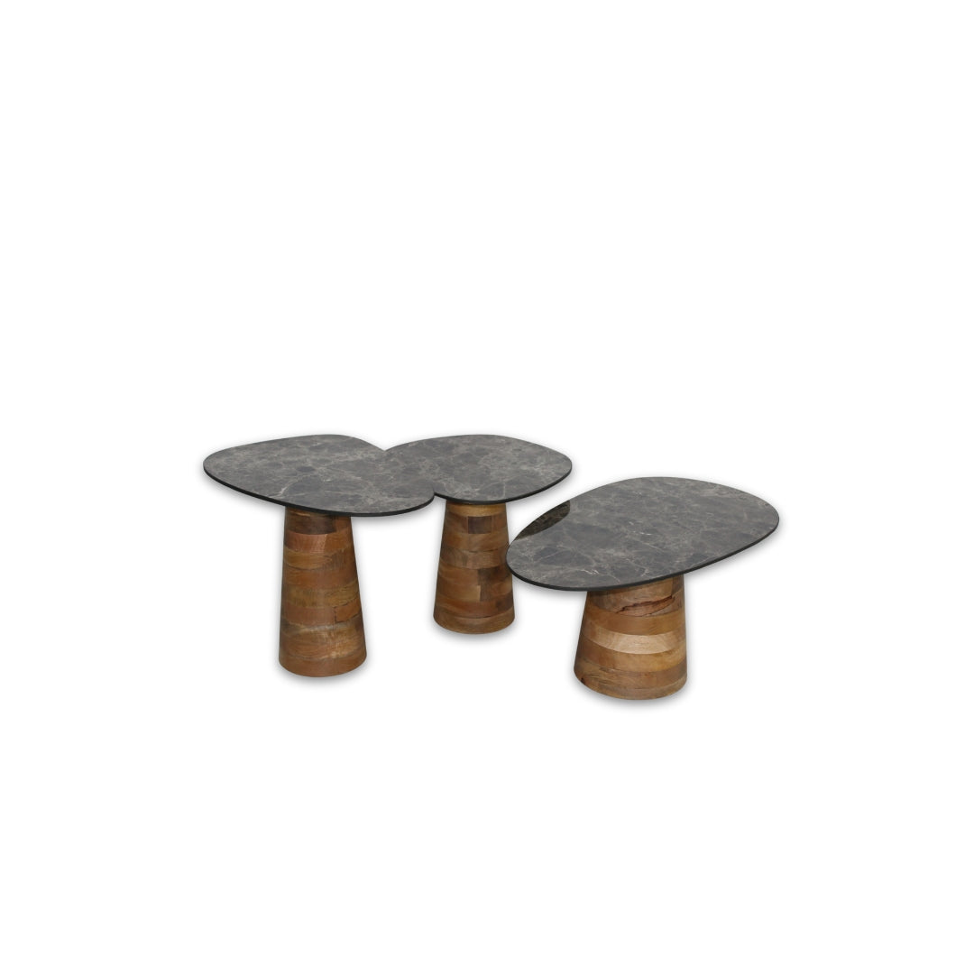 Thompson Set of 3 Coffee Table Ceramic/Wood 231556