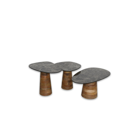 Thompson Set of 3 Coffee Table Ceramic/Wood 231556