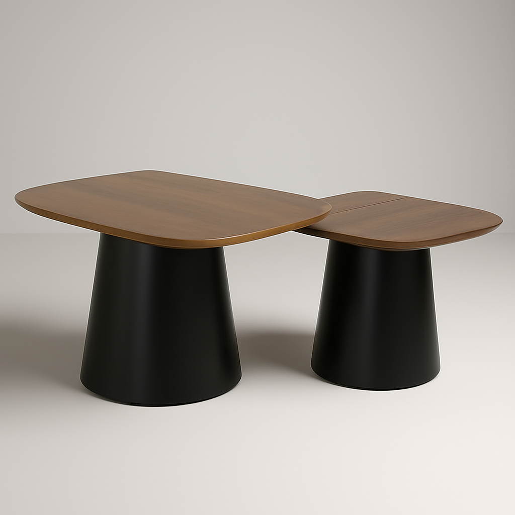 Ella Set of 2 Coffee Table Mango Wood 30045