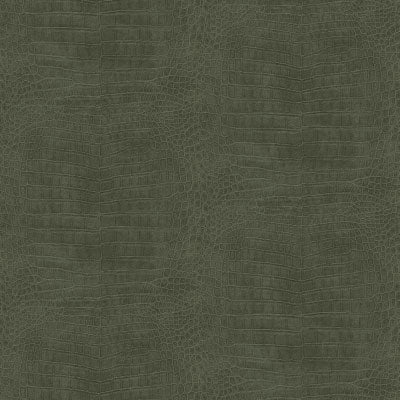 Wallpaper El Crocco-Everglade