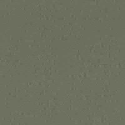 Wallpaper Skin Deep-Frosty Sage