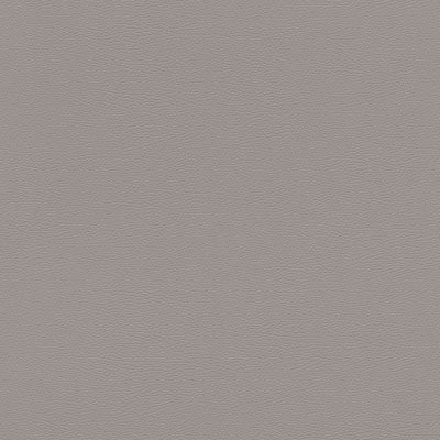 Wallpaper Skin Deep-Elephant