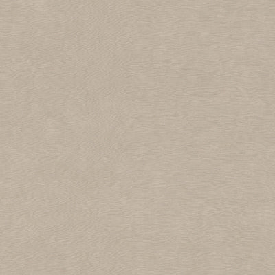 Wallpaper Backdrop-Fossil