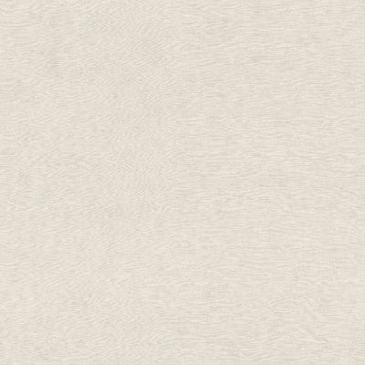 Wallpaper Backdrop-Drizzle