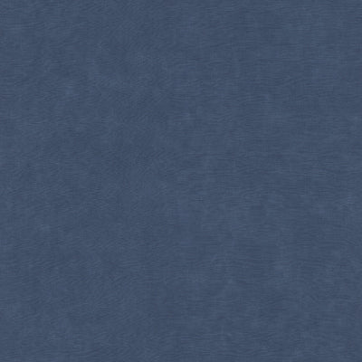 Wallpaper Backdrop-Indigo