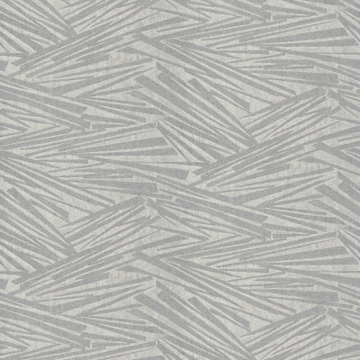 Wallpaper Astro-Silver