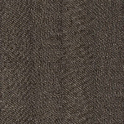 Wallpaper Vanguard-Noir