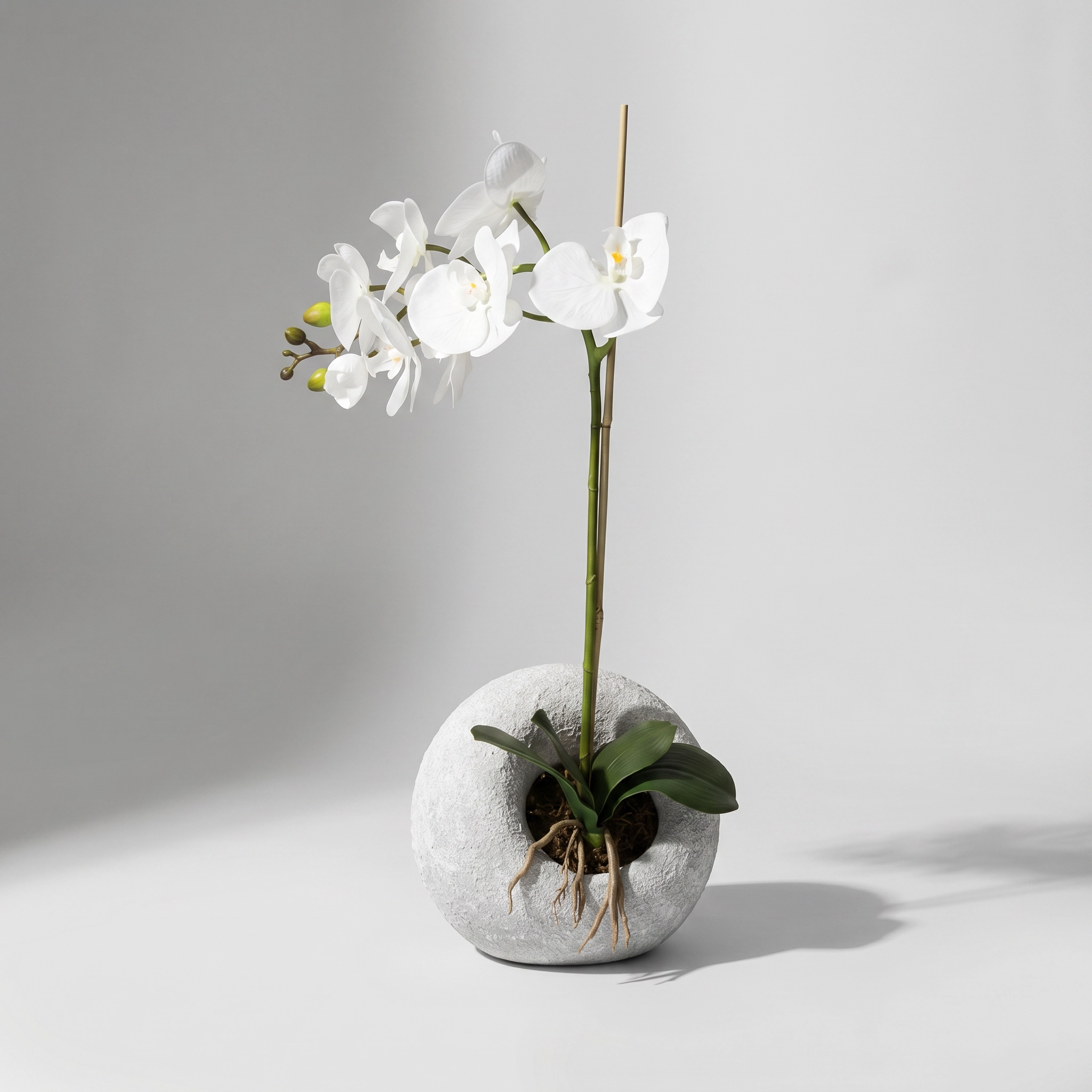 White Orchid Cement Ball Vases Sundry-37F