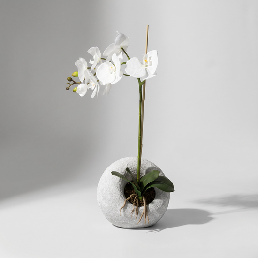 White Orchid Cement Ball Vases Sundry-37F