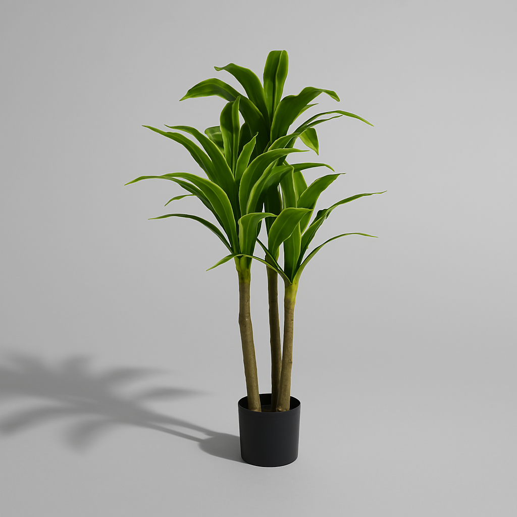 Yellow Brazil Yd1007